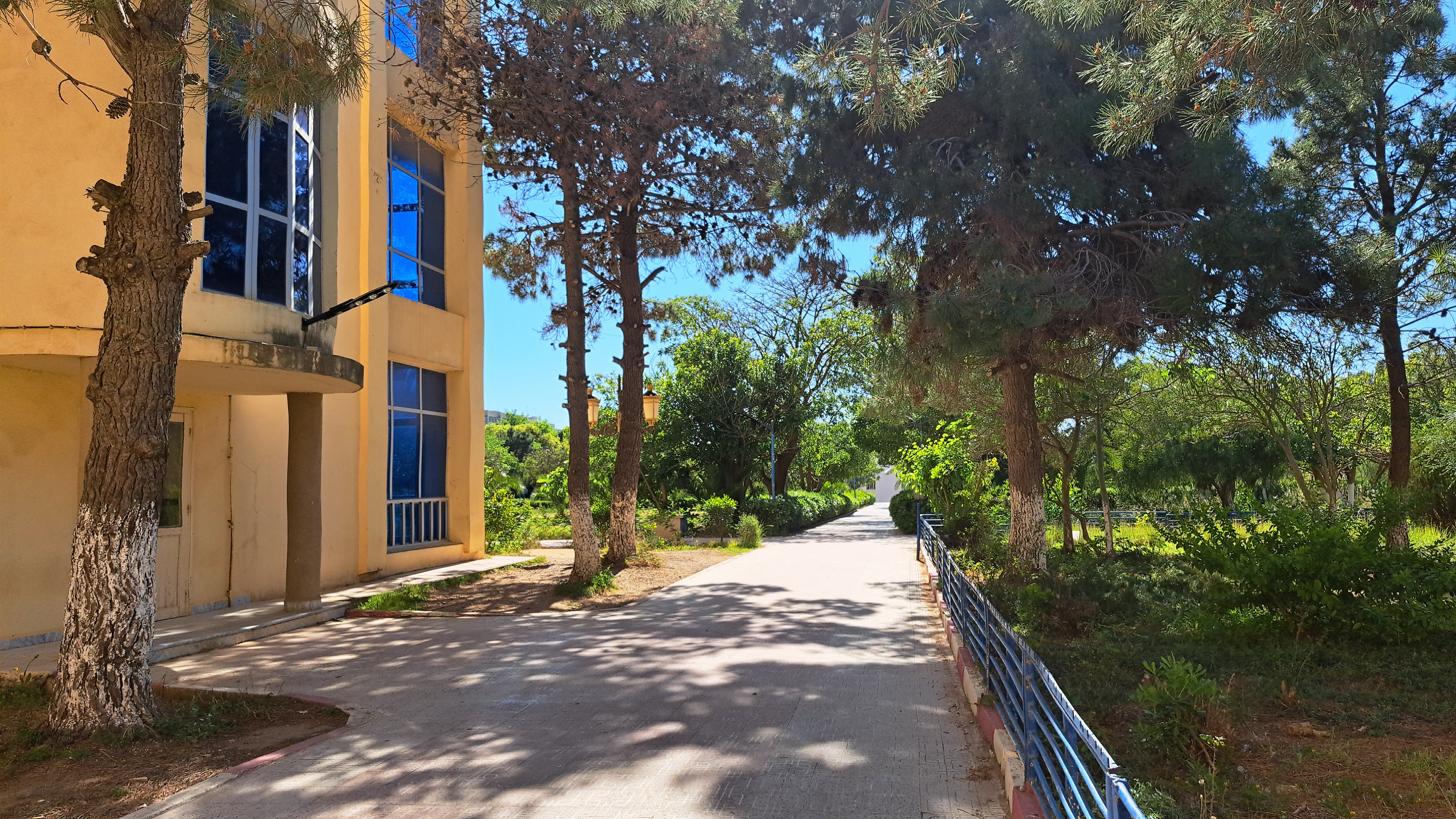 discover FS UMBB, where minds are built to innovate