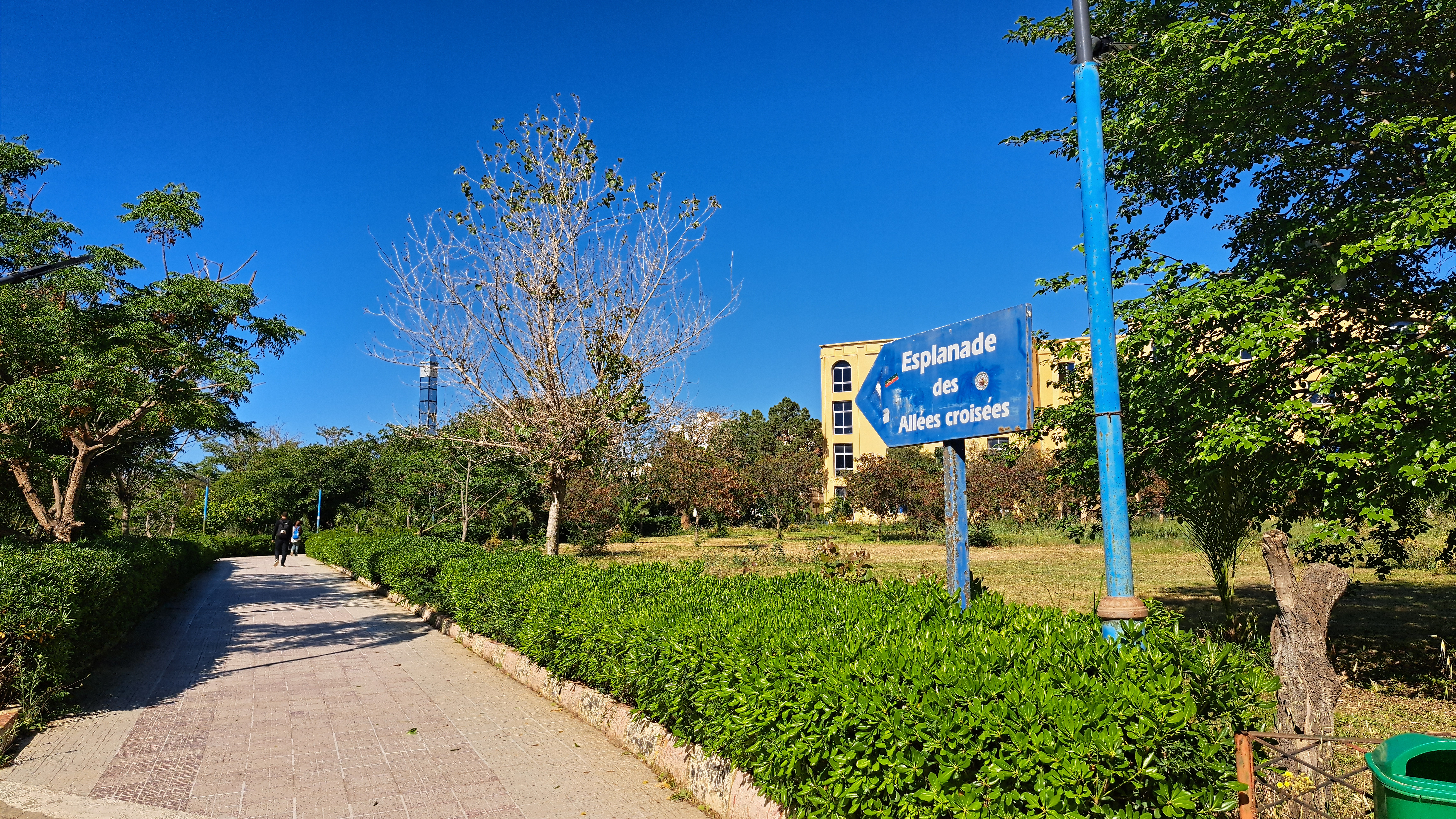 University Campus