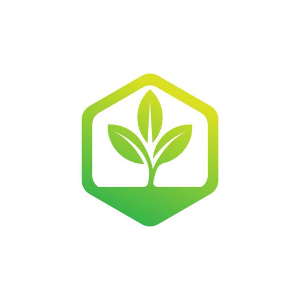 Environmental Society
